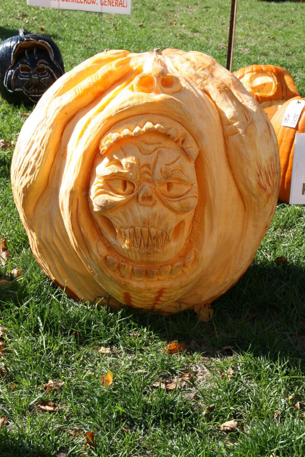 Sycamore Pumpkin Festival Gallery of Photos