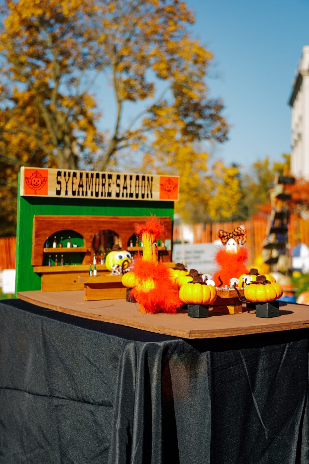 Sycamore Pumpkin Festival Gallery of Photos