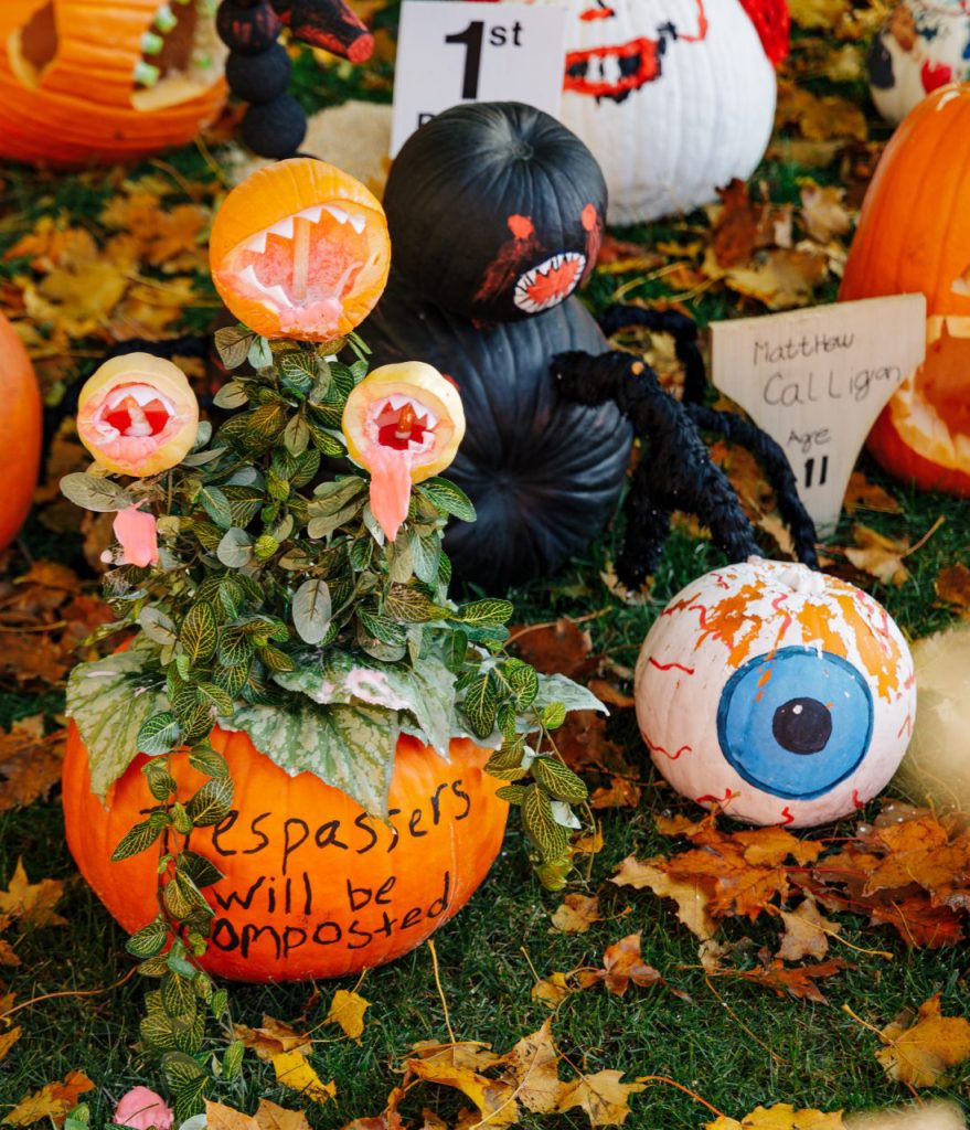 Decorated pumpkins are a favorite at Sycamore Pumpkin Festival in Northern Illinois
